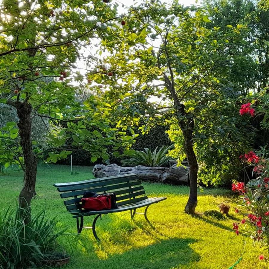B&B Da Pio Pietrasanta Esterno foto
