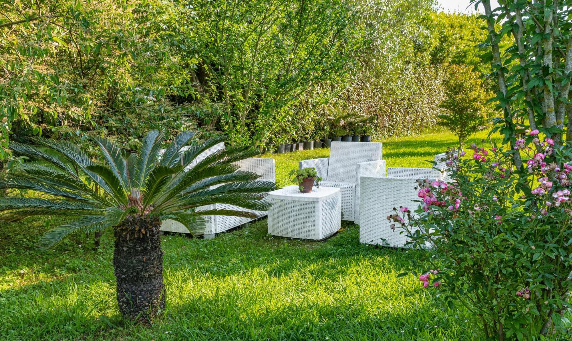 B&B Da Pio Pietrasanta Esterno foto