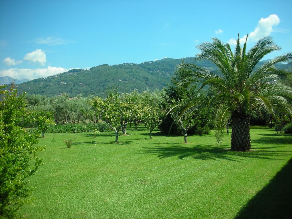 B&B Da Pio Pietrasanta Esterno foto