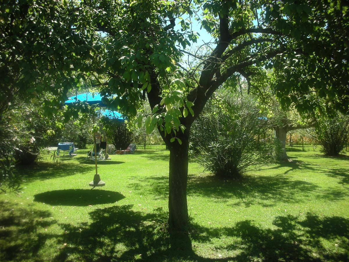 B&B Da Pio Pietrasanta Esterno foto